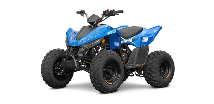 2025 Linhai ATV 110